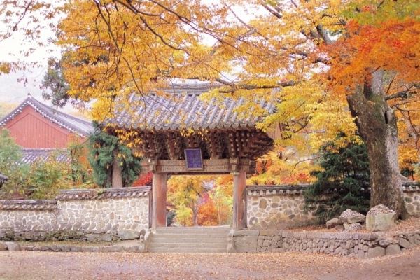 Du lịch Seoul Hàn Quốc